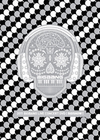 BIGBANG 2011 Big Show Concert DVD - Official Live Recording