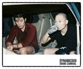 Dynamic Duo Grand Carnival Vol. 8