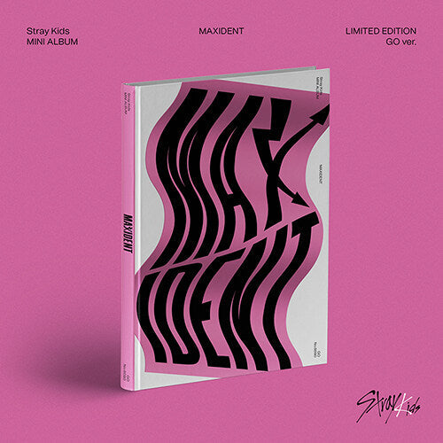 Stray Kids MAXIDENT GO Version